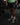 DSC01826_07d94519-e5e2-44d5-8451-e59e4a08dc52